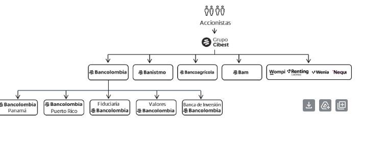 Estructura de Grupo Cibest.