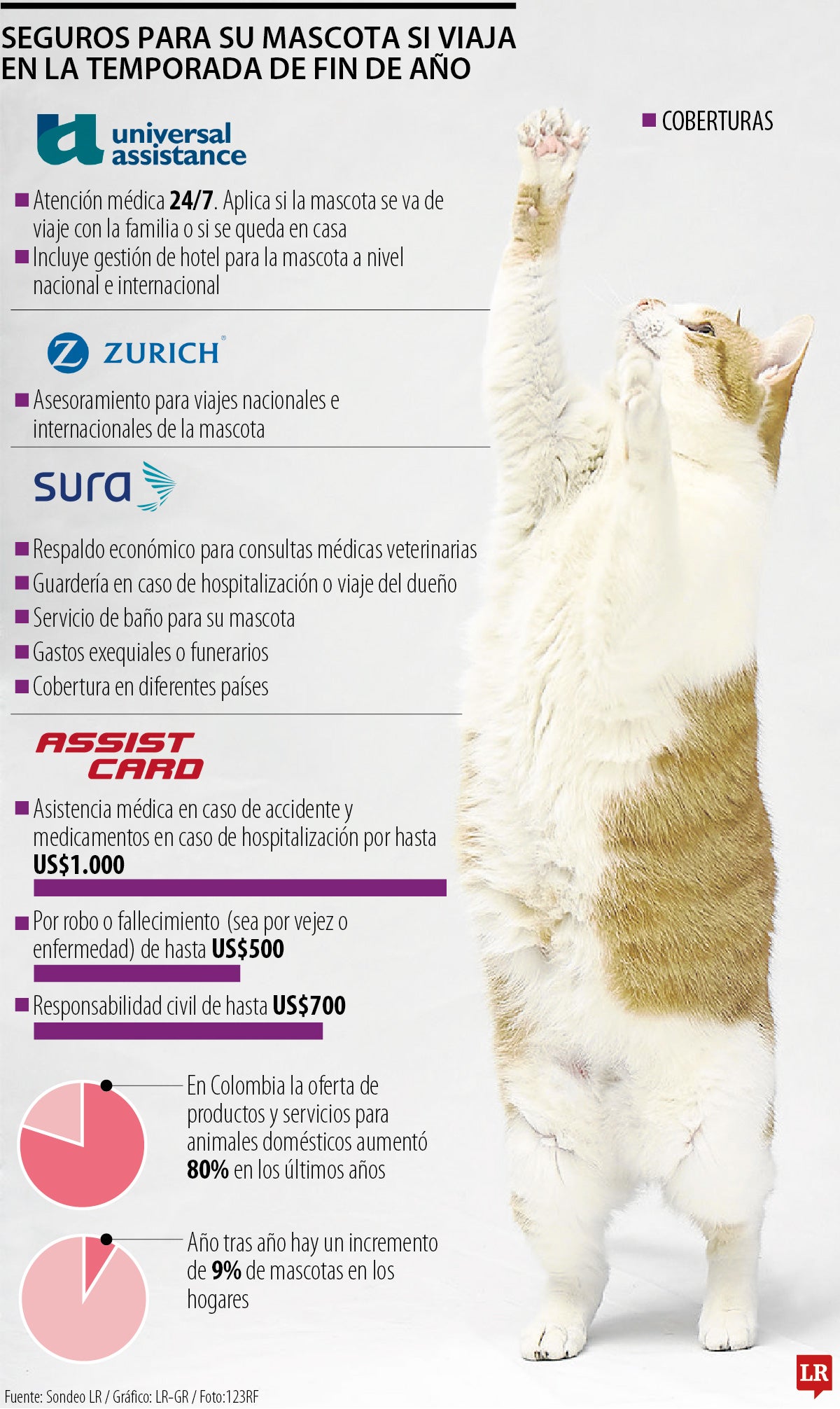 Seguros para su mascota si viaja en vacaciones