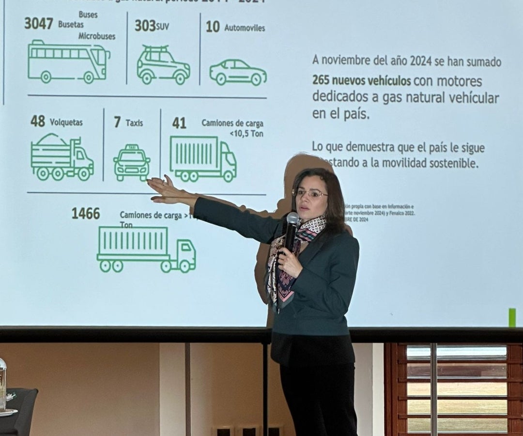 Luz Stella Murgas, presidente de Naturgas