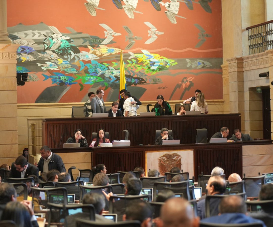 Vista general de la plenaria de la Cámara de Representantes