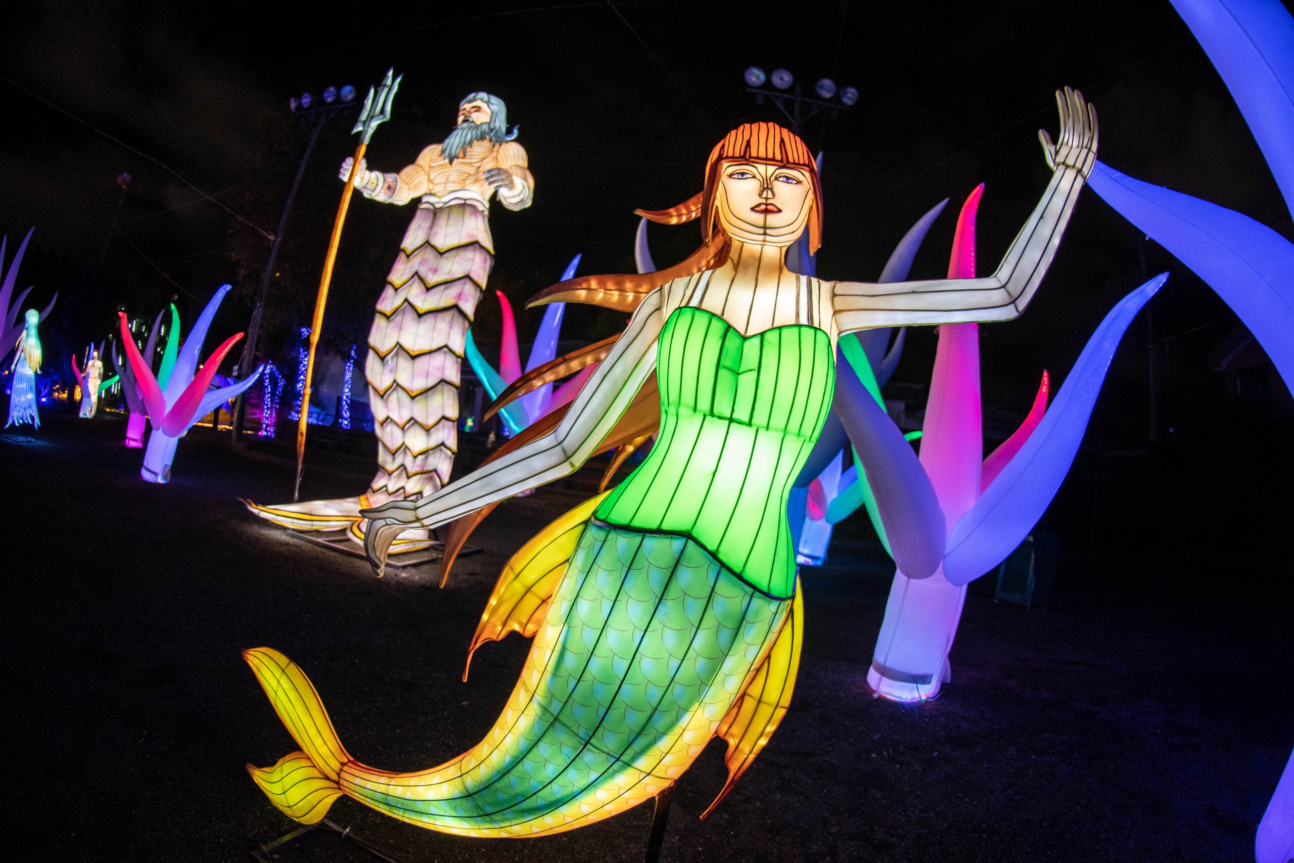 Festival Brilla '4 elementos' en su quinta edición