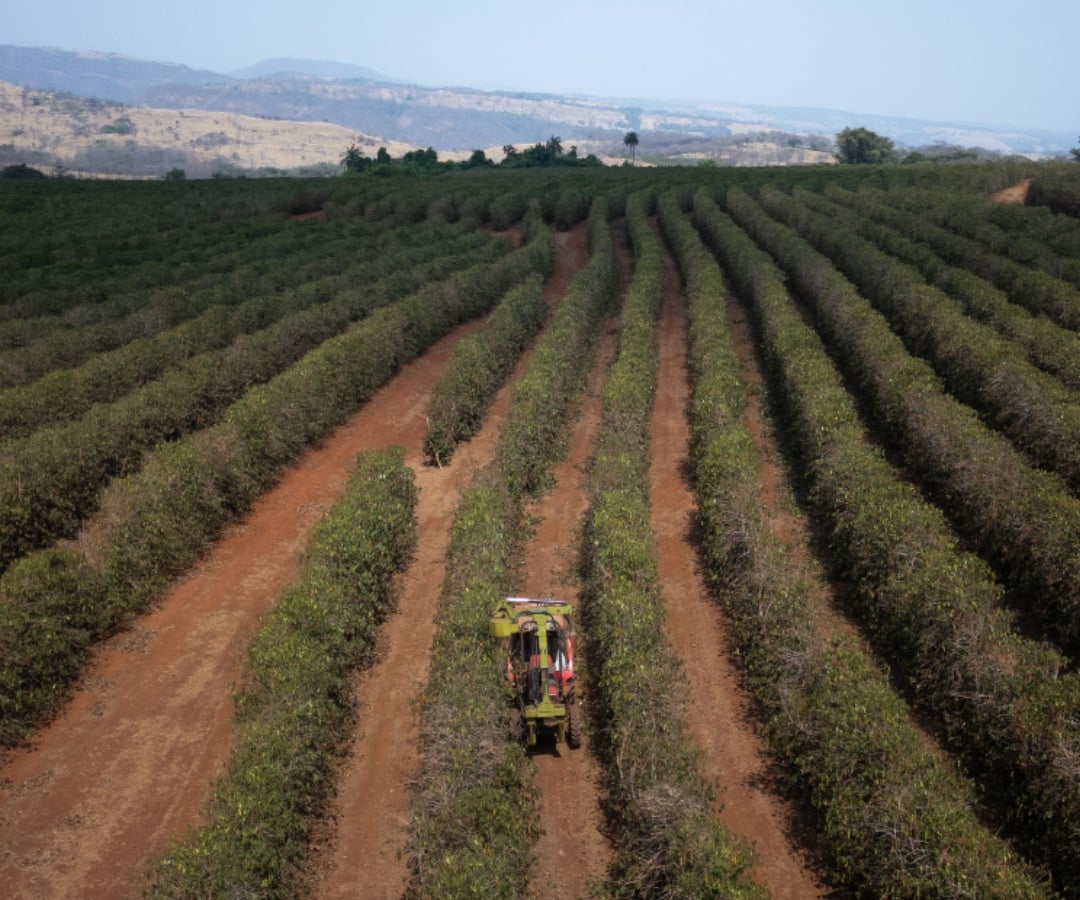 La gestión de tierras de la ANT desde 2022 alcanzó 703.121 hectáreas a comunidades rurales