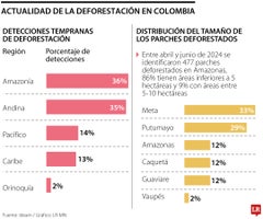 Situación de deforestación en Colombia Situación de deforestación en Colombia