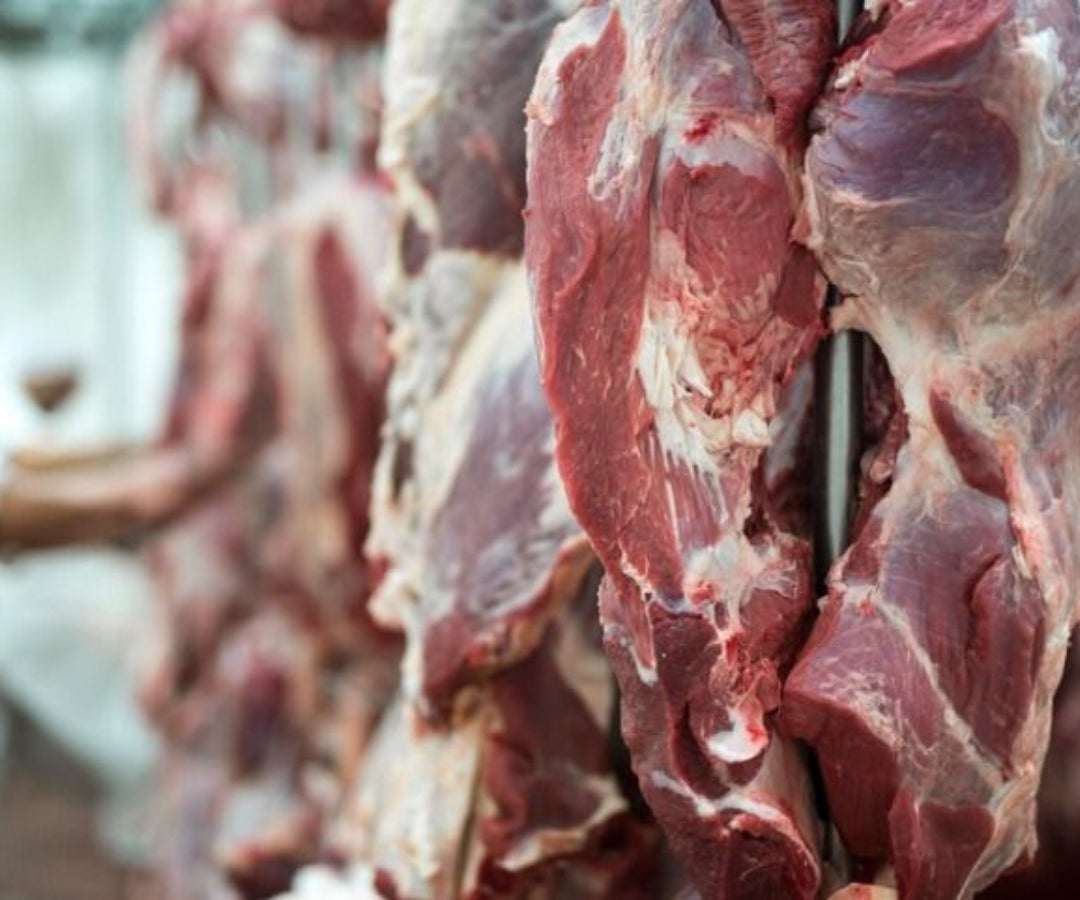 Exportación de carne