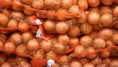 Cebollas