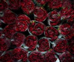 Exportaciones de flores se salvaron de arancel por tensiones diplomáticas Exportaciones de flores se salvaron de arancel por tensiones diplomáticas