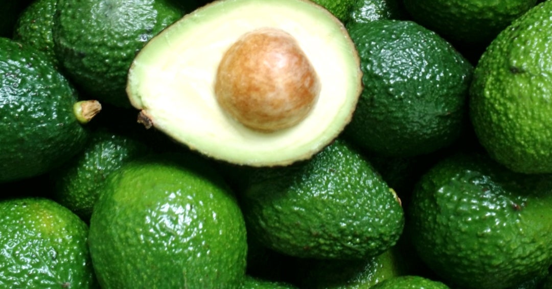 EE.UU. reanudará actividades en mayor estado mexicano productor de aguacate