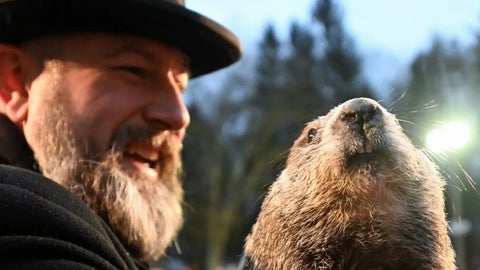 El Groundhog Day o Día de la Marmota en EE.UU.