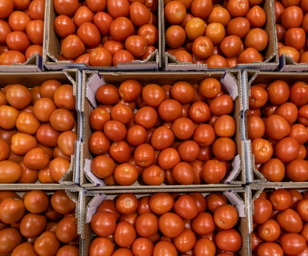 La mayor caída fue de $500 en el kilo de tomate chonto, a la vez que alimentos como el arroz y el frijol se mantienen estables