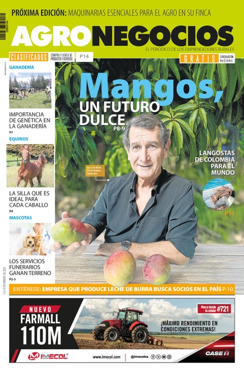 Portada AN