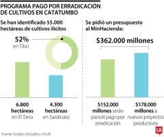 Sustitución de cultivos de coca vale $362.000 millones