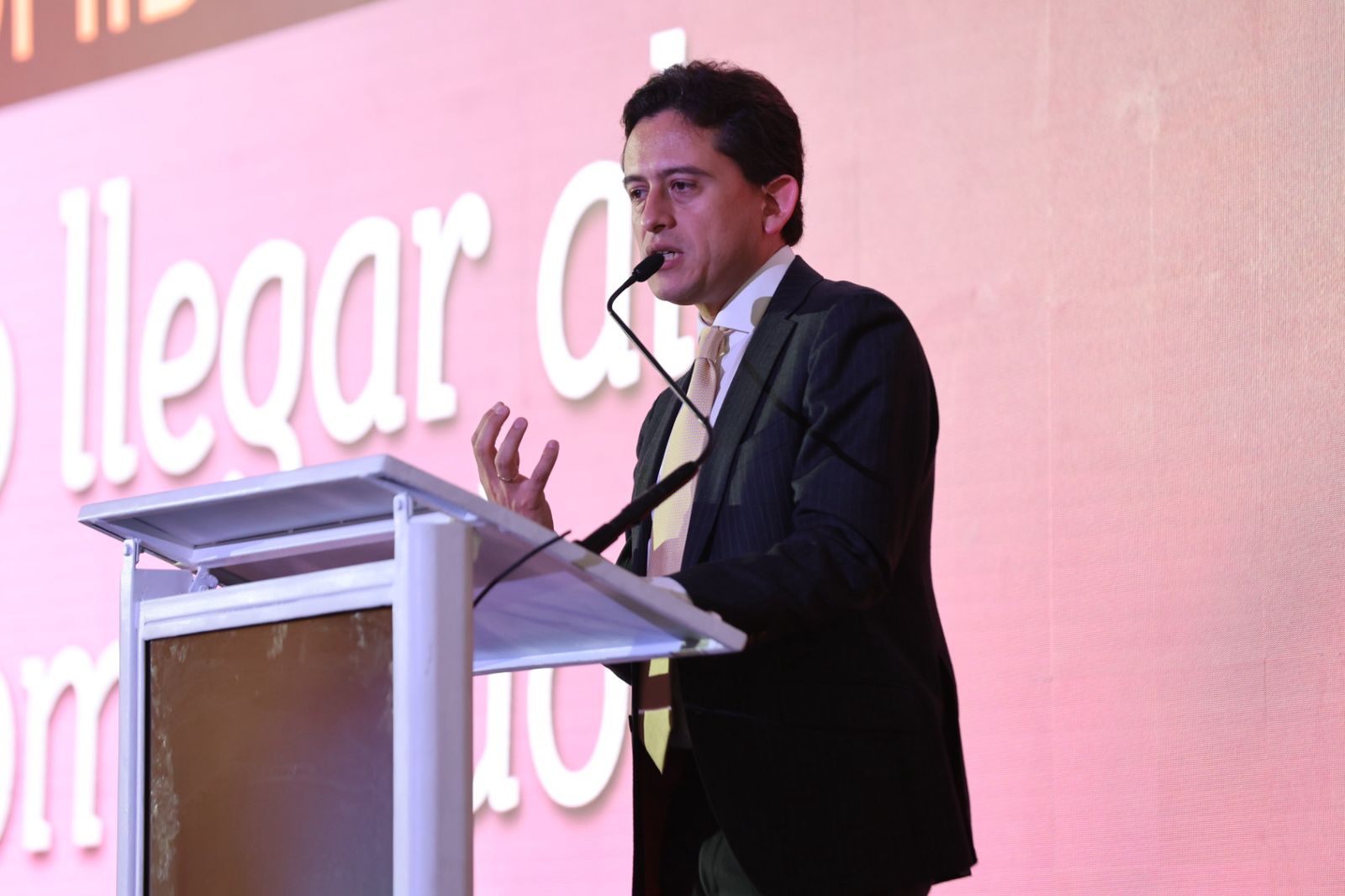 Luis Carlos Reyes, ministro de Comercio