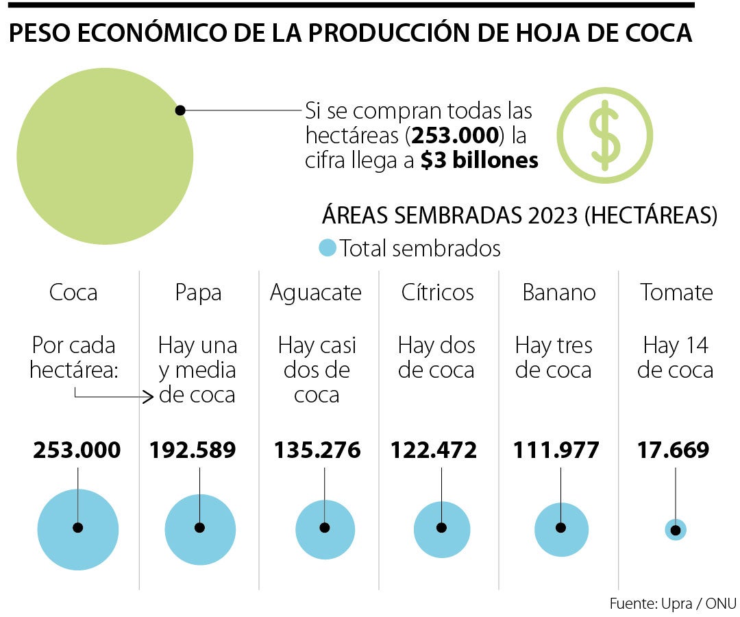 La cosecha de la hoja de coca costaría cerca de $3 billones