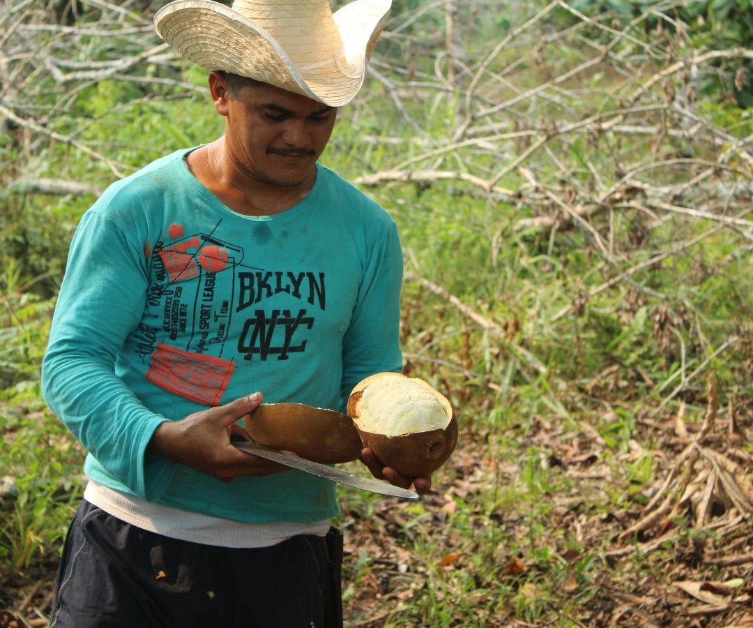 Suiza y Reino Unido invierten en bioeconomía