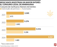 web_globo_consumo_marihuana