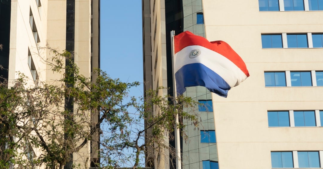 Cámara de Paraguay estima ingresos de hasta US$22.000 millones por venta de cannabis