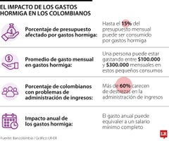 WEB_Fin_GastosHormiga