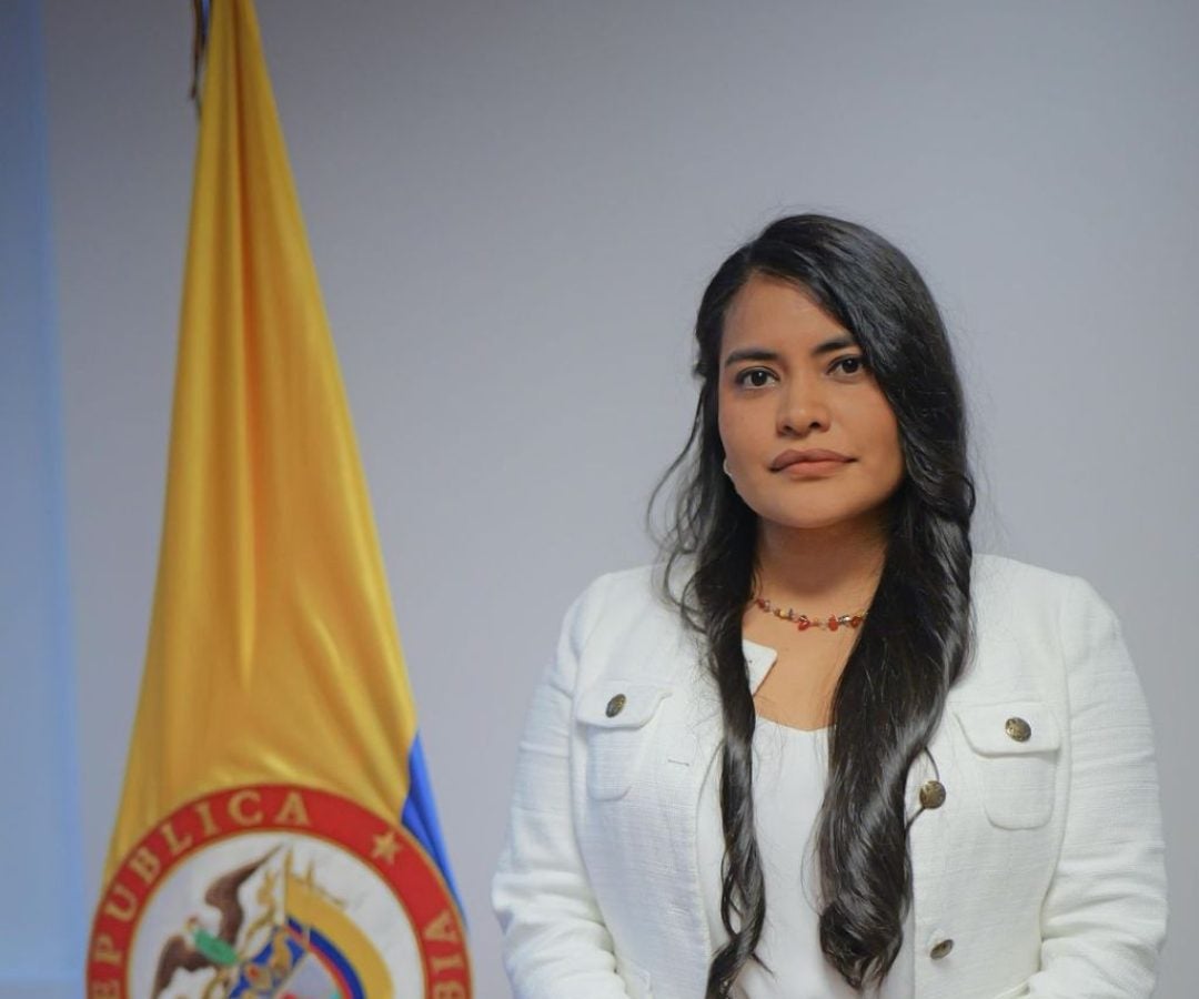 Natalia Irene Molina, directora del DNP