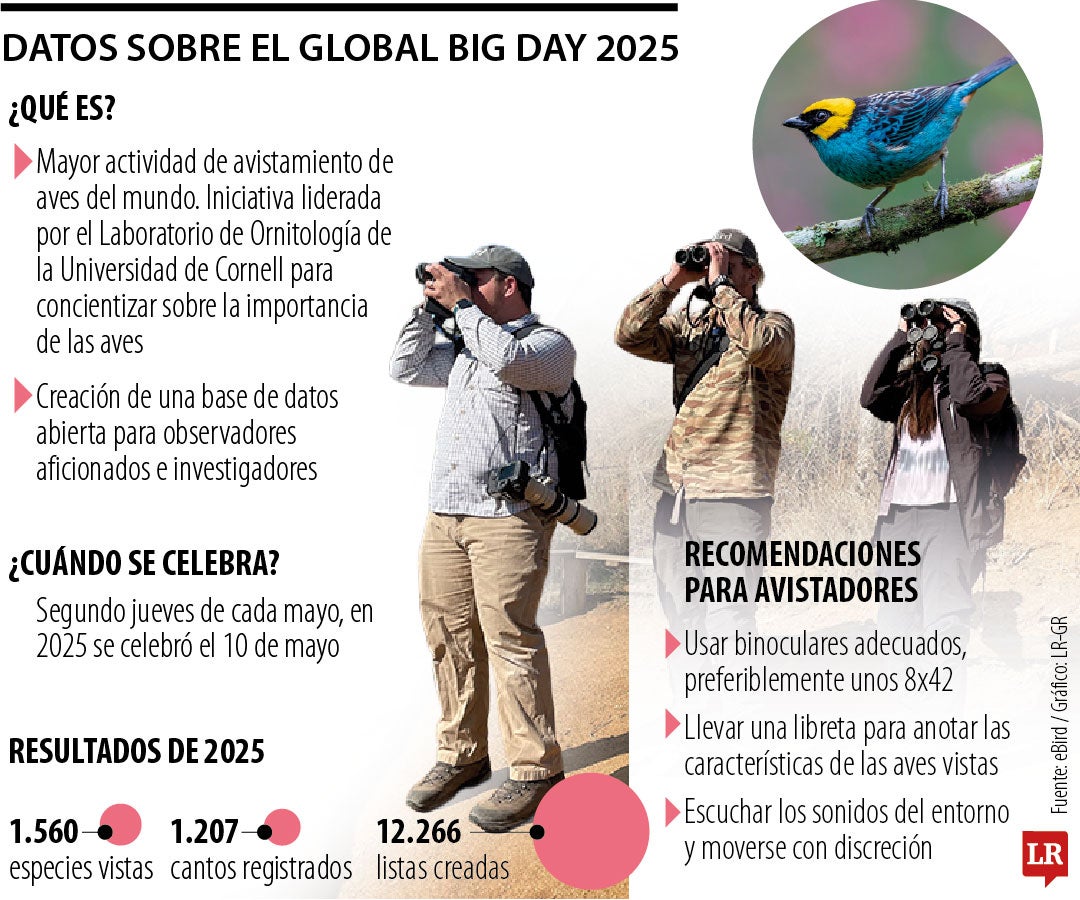 Datos del Global Big Day 2025
