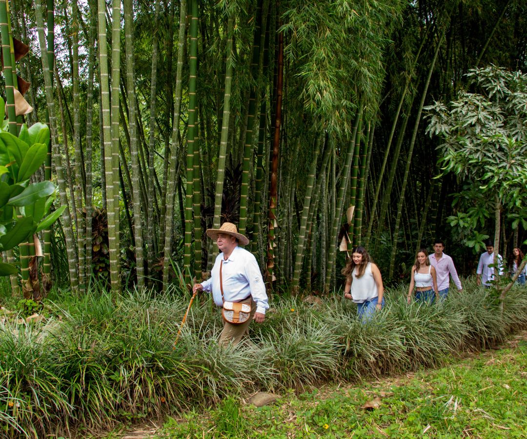 Casa Rivera del Cacao 