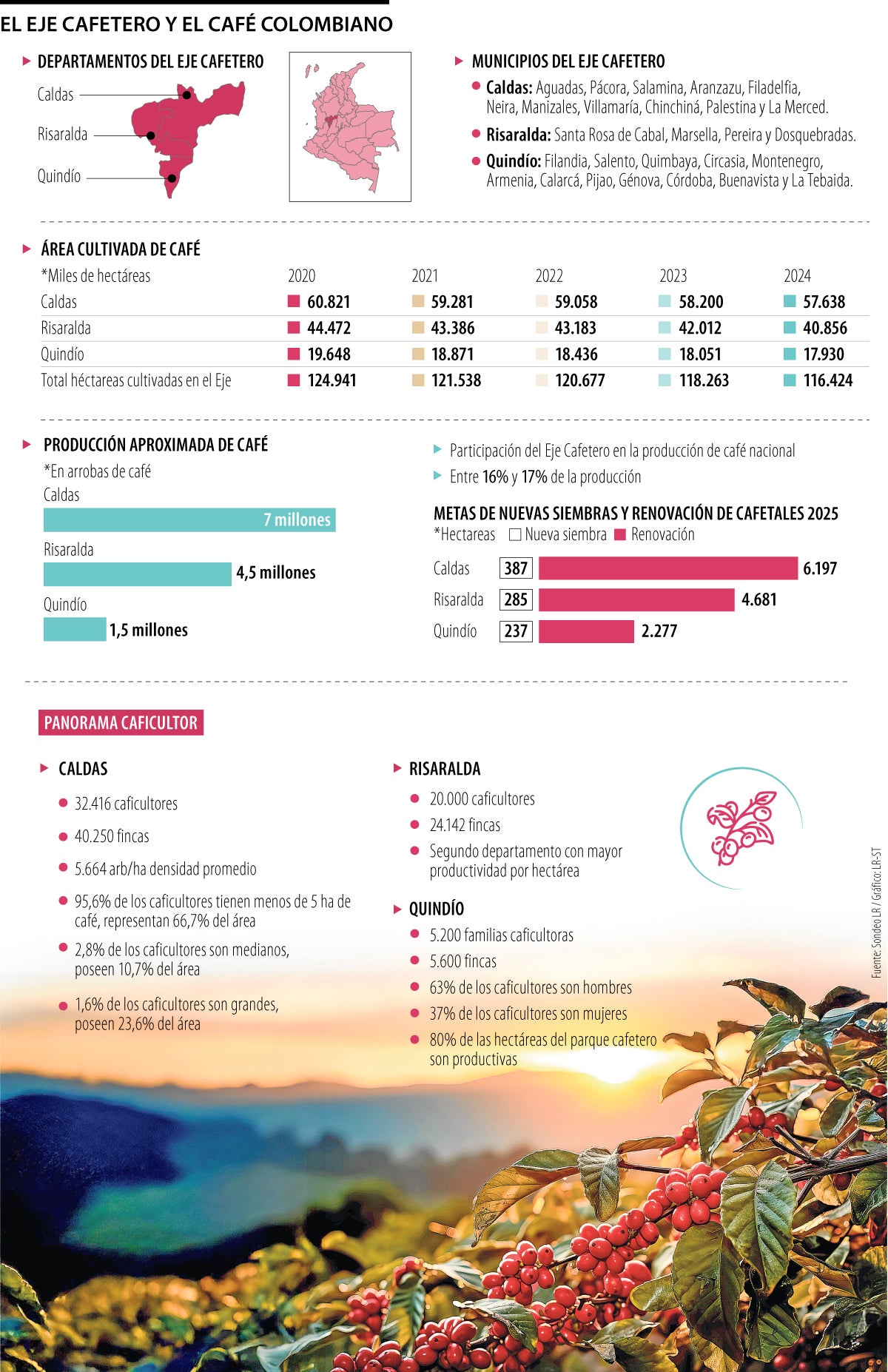 producción de café en el eje cafetero