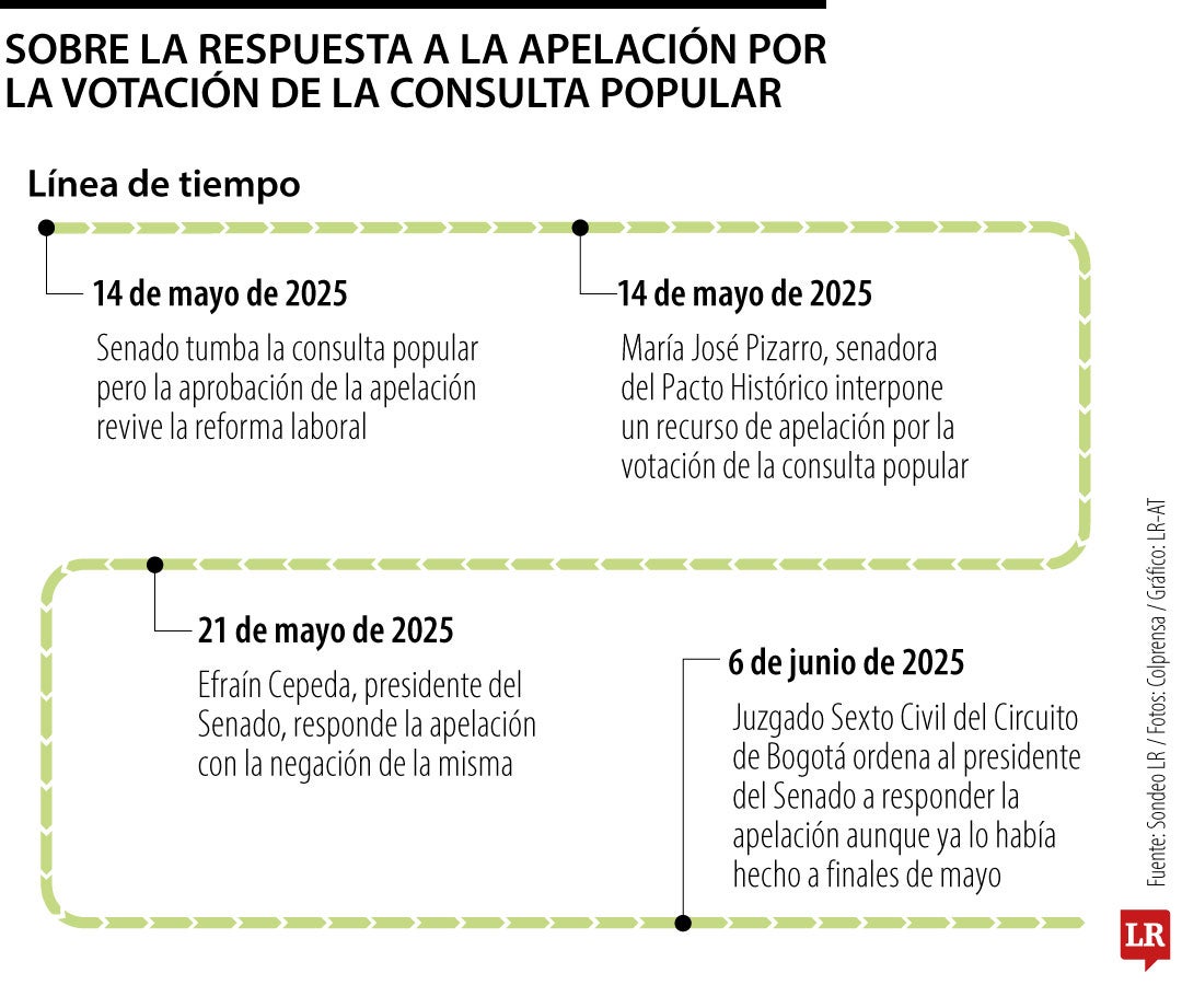 Respuesta a la apelación por la votación de la consulta popular