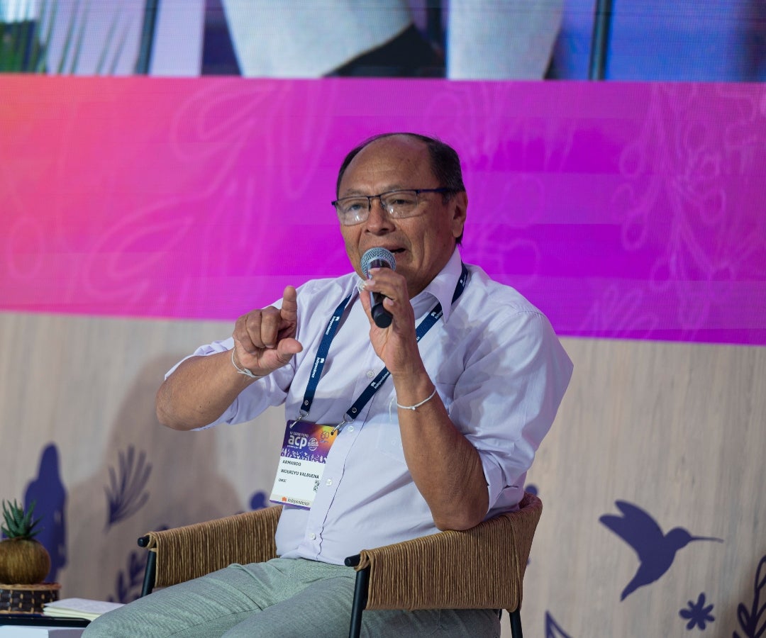 Panel: Repensando el entorno: nuevas competencias en el ordenamiento territorial