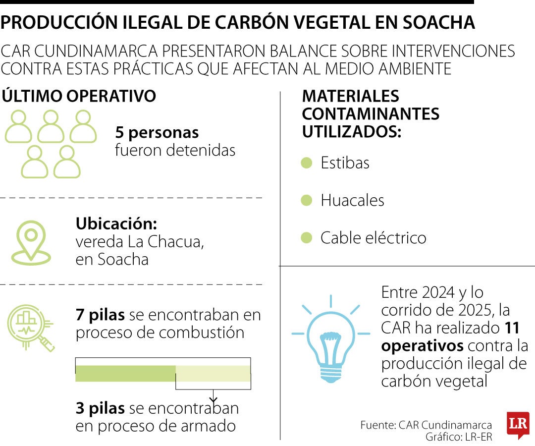 Producción ilegal de carbón vegetal en Soacha
