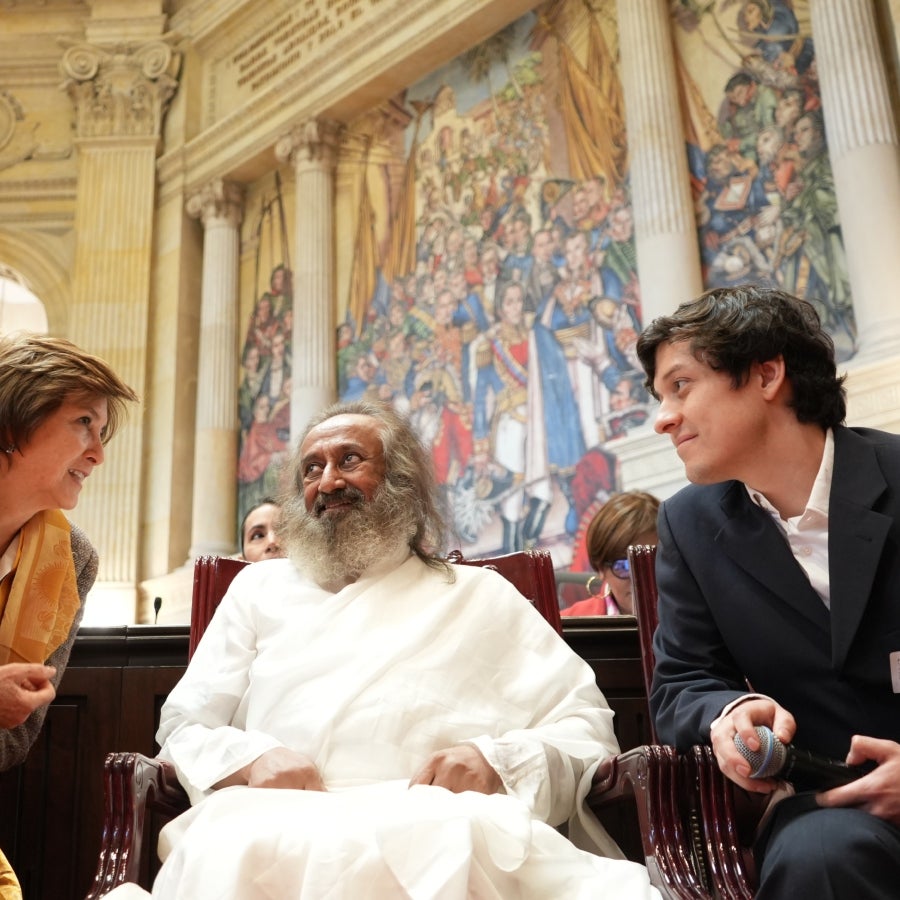 La paz del yoga en el Congreso