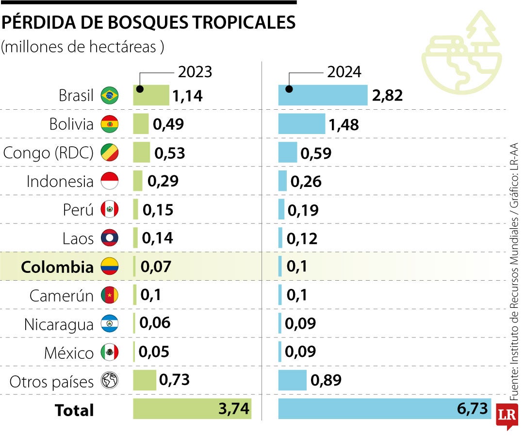 Pérdida de bosques tropicales