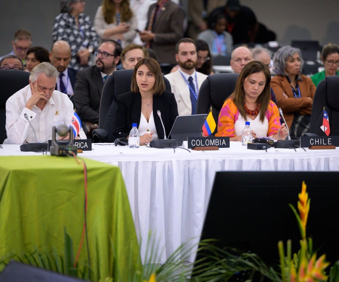 Laura Sarabia, canciller