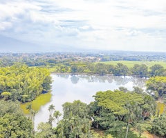 Putumayo: territorio clave para la bioeconomía y la sostenibilidad – LaRepublica.co