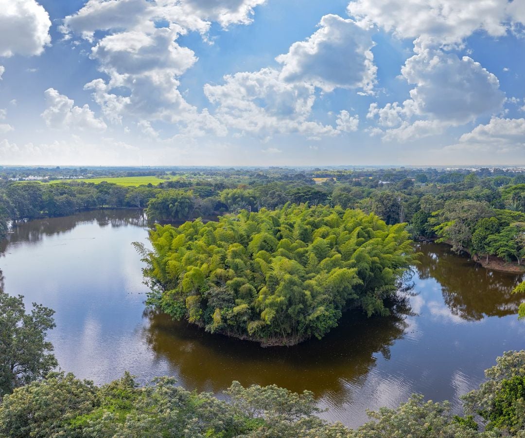 Proyecto Bosquelago Jaramillo Mora