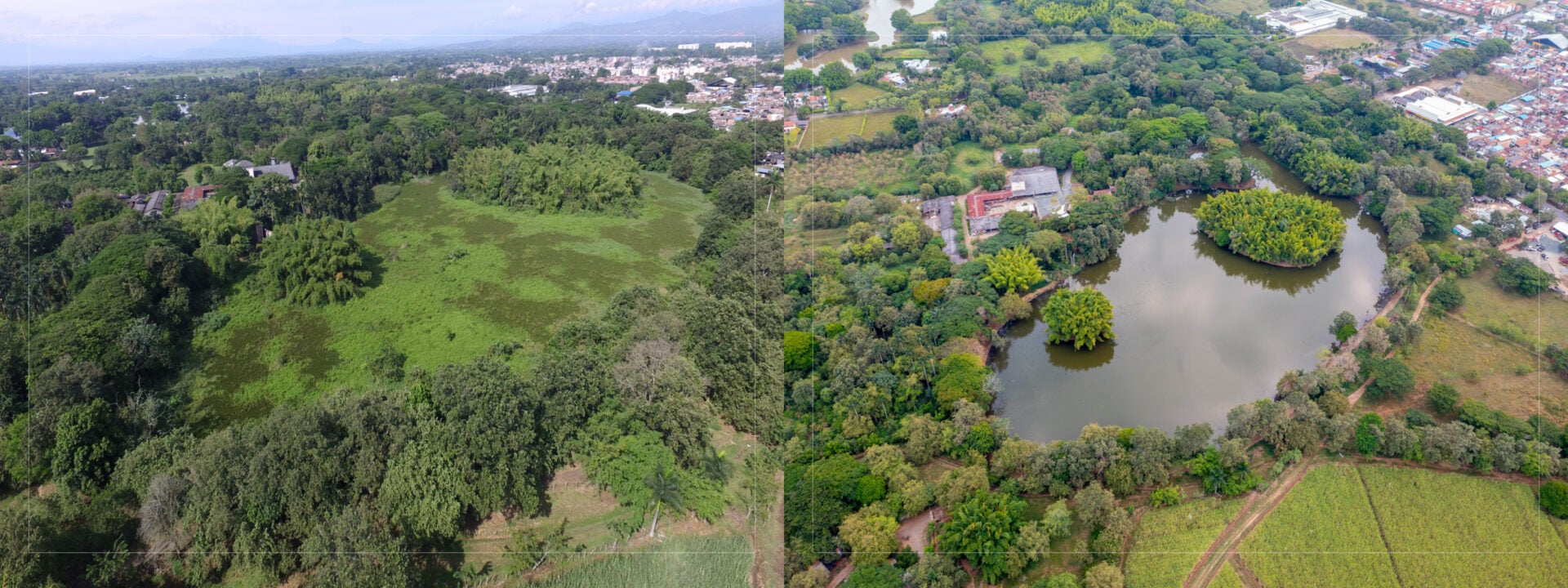 Antes y después del humedal recuperado por la constructora. Foto: Jaramillo Mora Constructora.