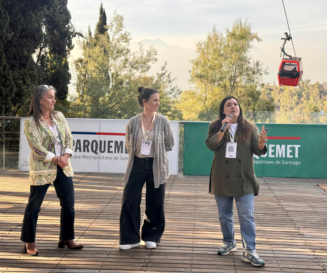 En su trayectoria Indeleble Social ha impactado a más 51.000 personas en todo el país