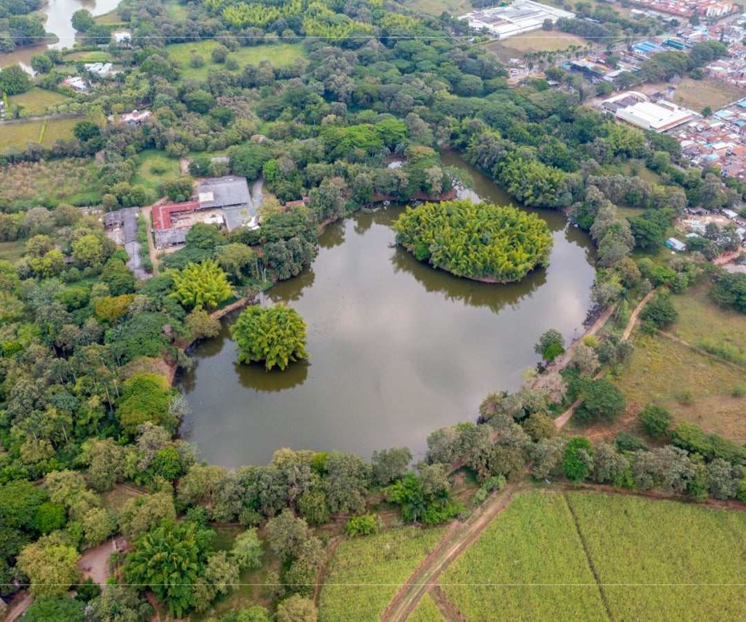 Humedal despues Cortesia Jaramillo Mora (1) (1)