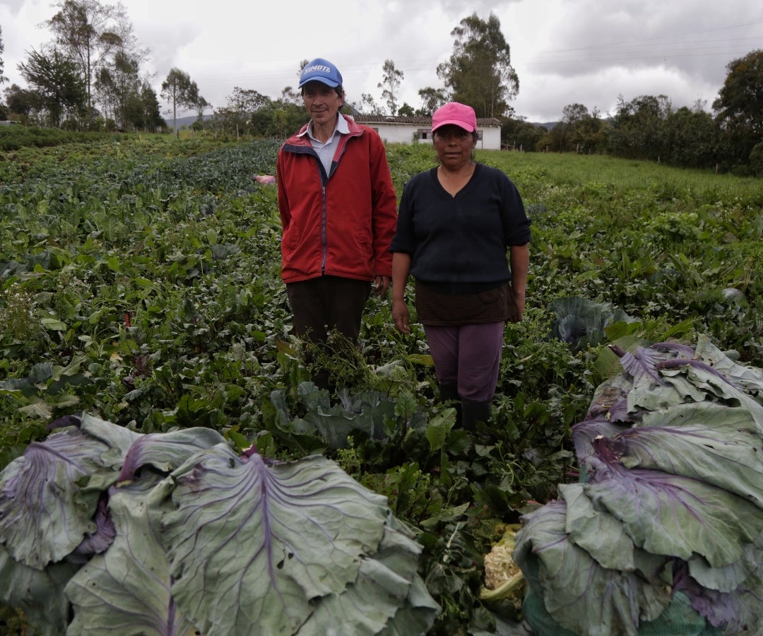 DNP y MinAgricultura lanzaron el nuevo proyecto Infraestructura Logística Agrícola