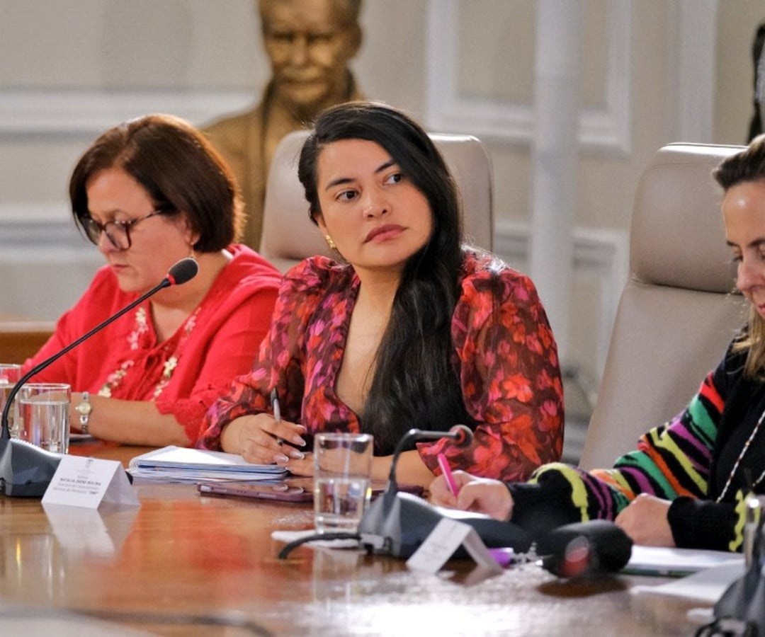 Natalia Molina, directora encargada del DNP
