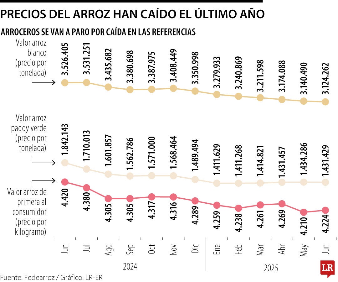 Precios del arroz han caído en el último año