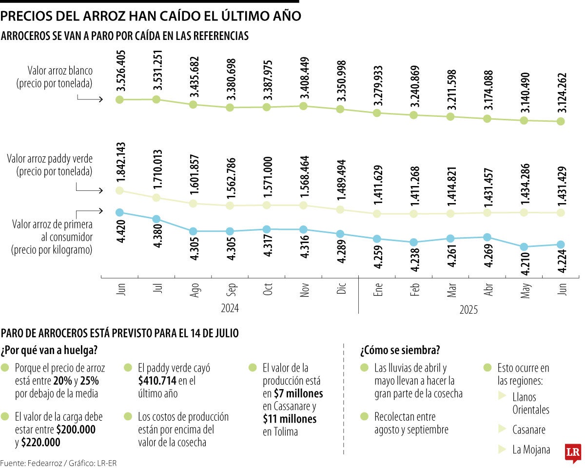 Productores de arroz pasan por un momento critico