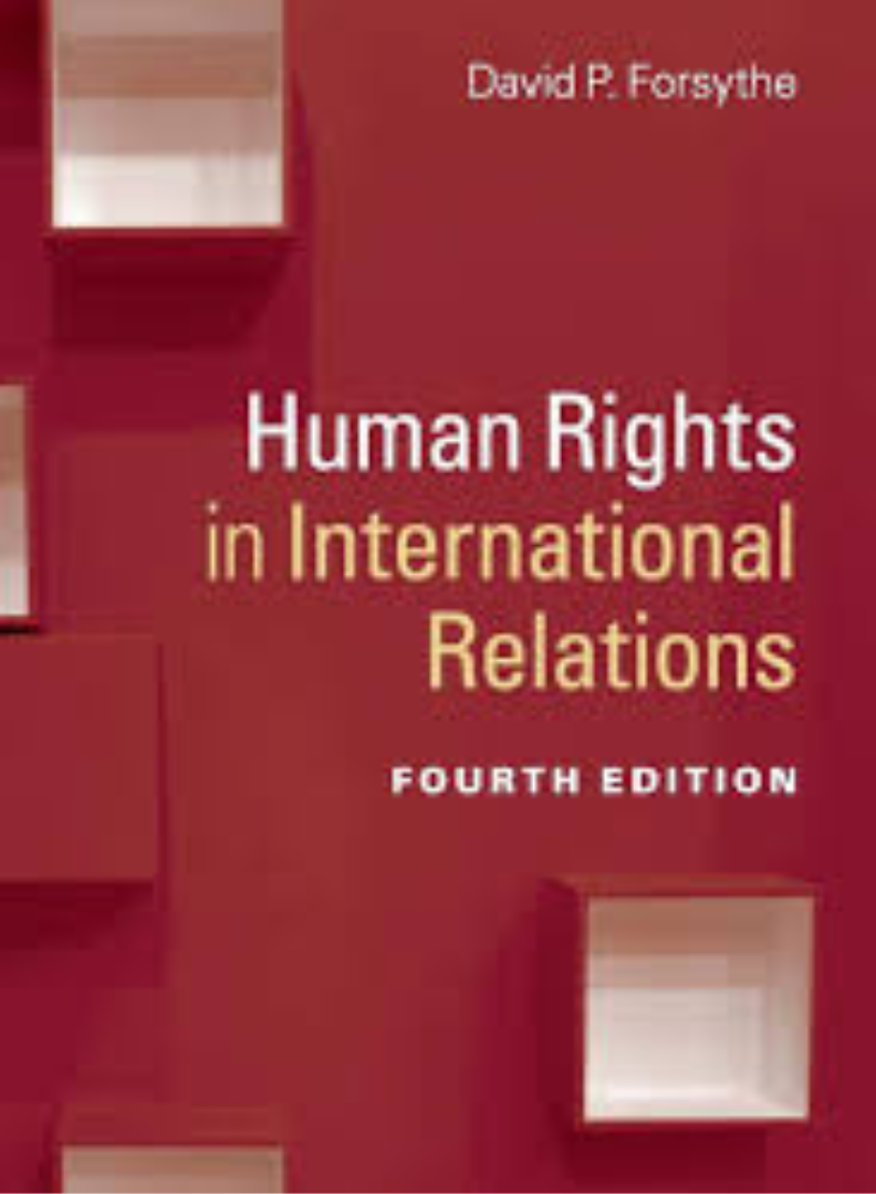 Derechos Humanos en las relaciones internacionales