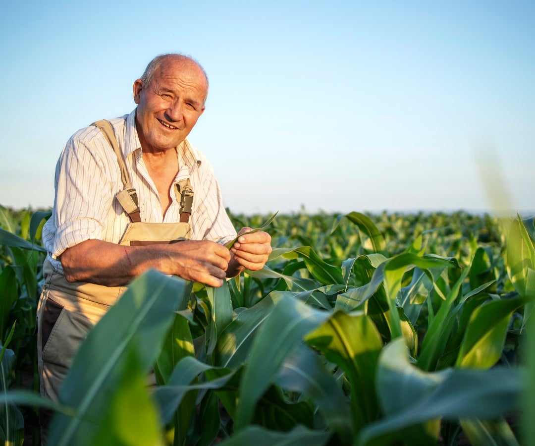 El Banco Mundo Mujer tiene 29 años de experiencia contribuyendo al desarrollo sostenible y el ahorro de los colombianos
