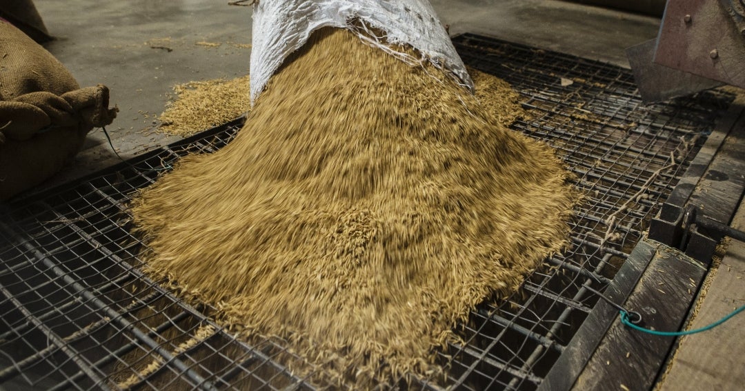 Gobierno peruano emitió decreto para compra de arroz por casi US$50 millones