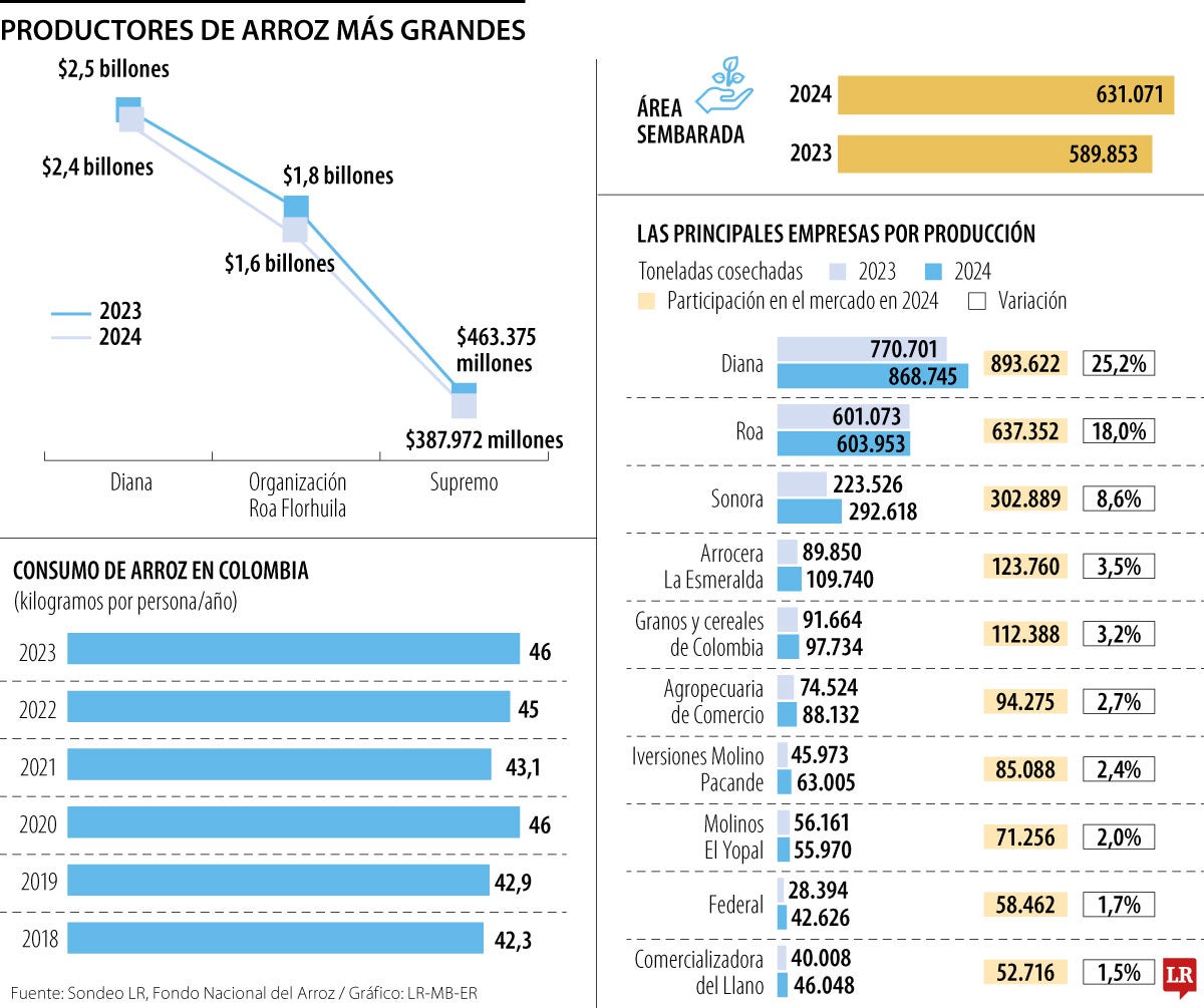 Las principales empresas de arroz con corte a 2024
