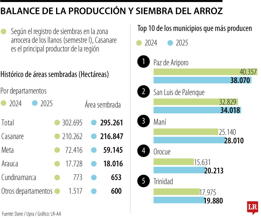 En la región de los Llanos, 295.261 fueron las hectáreas sembradas de arroz, al cierre del primer semestre de 2025.