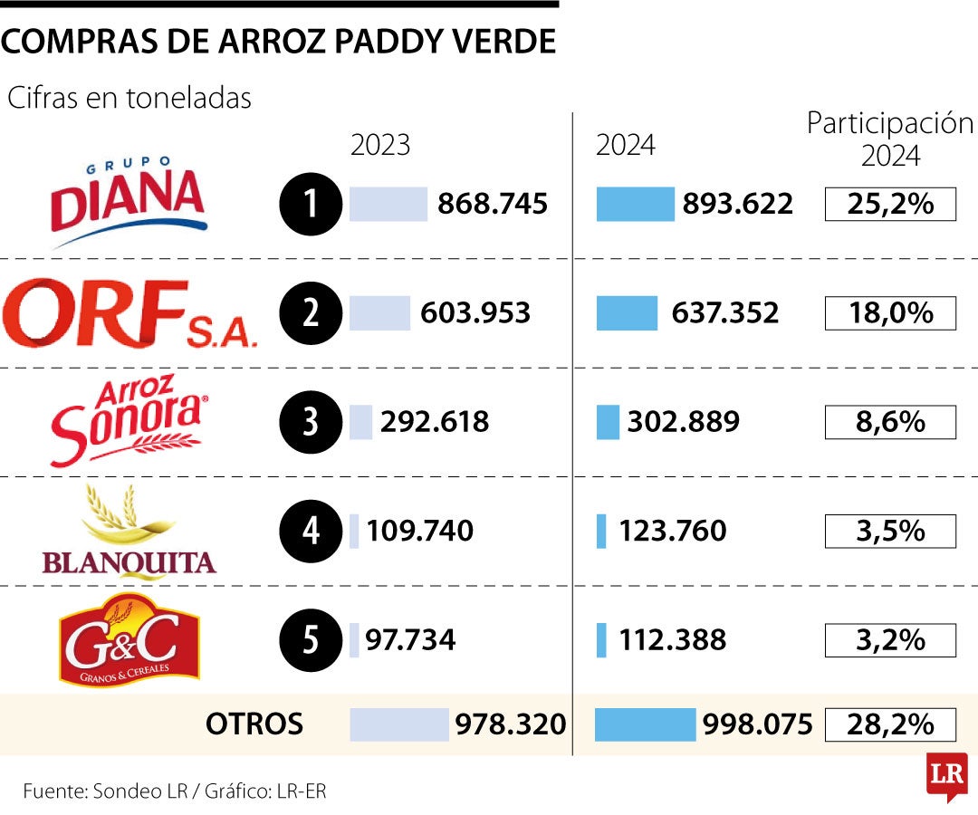 Compradores de arroz paddy verde