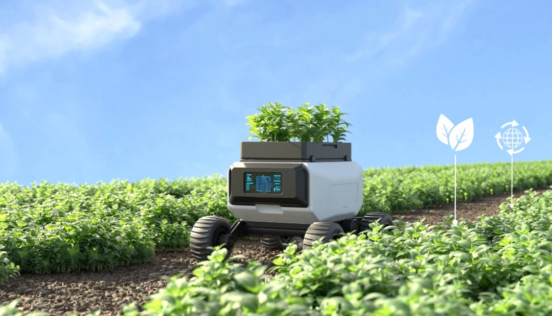 El uso de robots para recolección es solo uno de los usos que se le ha dado a la tecnología El uso de robots para recolección es solo uno de los usos que se le ha dado a la tecnología