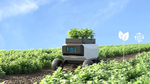 El uso de robots para recolección es solo uno de los usos que se le ha dado a la tecnología