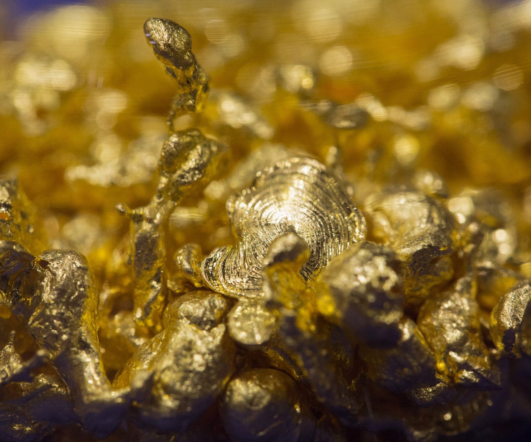 Vista detalle de granos de oro fundido