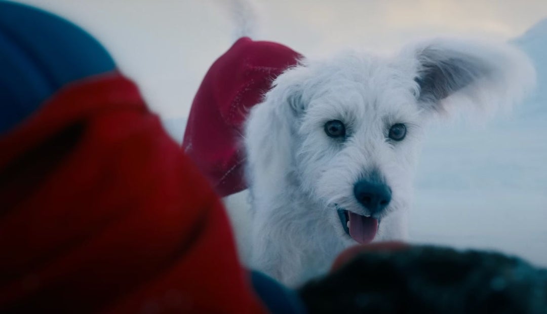 Krypto, el perro de Superman 2025 Krypto, el perro de Superman 2025
